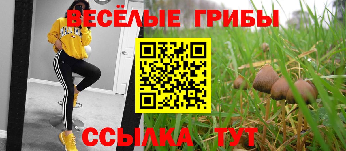 Галлюциногенные грибы MAGIC MUSHROOMS Электросталь